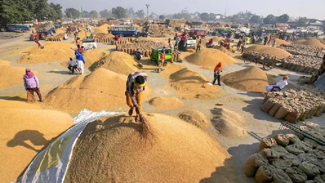 छत्तीसगढ़ में धान खरीदी 5 नवंबर से शुरू