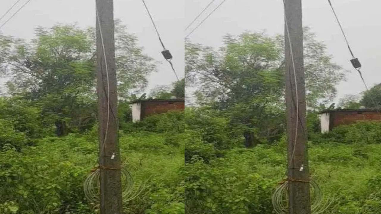 बिजली विभाग की लापरवाही से 10 मासूम की मौत, दोस्तों के साथ गया था खेलने