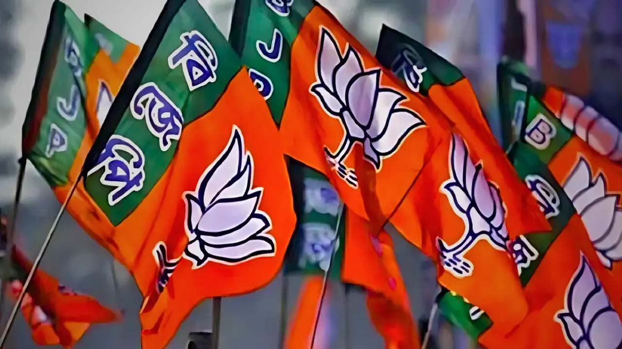 भाजपा का स्थापना दिवस, सीएम विष्णु देव साय ने किया ध्वजारोहण