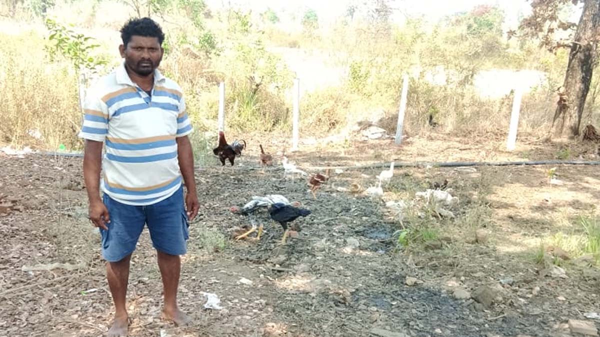 Animal Husbandry Department, Raipur, Government, Farmer, KCC scheme changes Sadashivs destiny